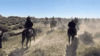 Screen Shot 2018 11 26 at 2.01.37 PM e1543262612339